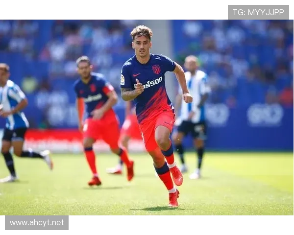 技术特点与踢法风格争议分析