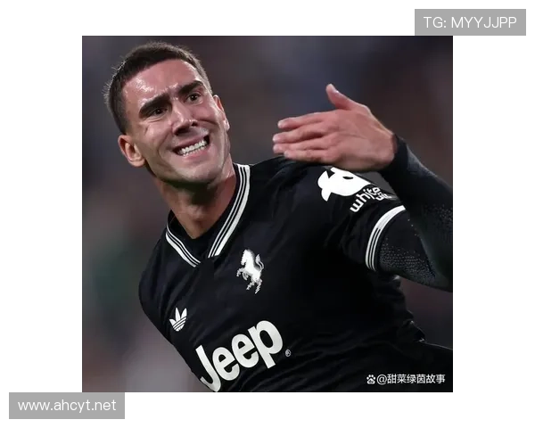 单箭头中锋困境：弗拉霍维奇的战术适配问题