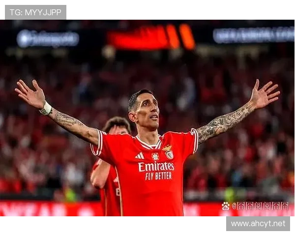 迪马利亚重返本菲卡:生涯回归解析 迪马利亚重返本菲卡:生涯回归解析