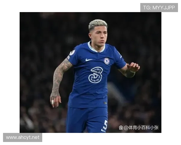 为何恩佐迅速成为顶级中场候选？