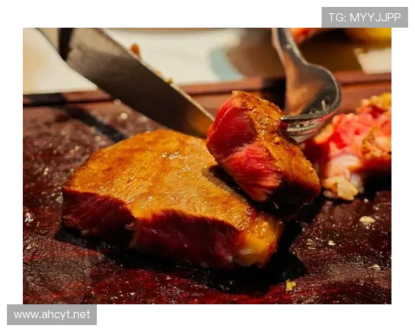 张琳芃家的狗都吃进口牛排